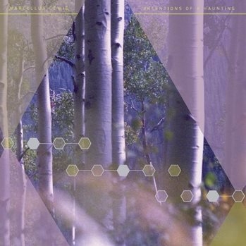 Reading, Writing, and Dendrology