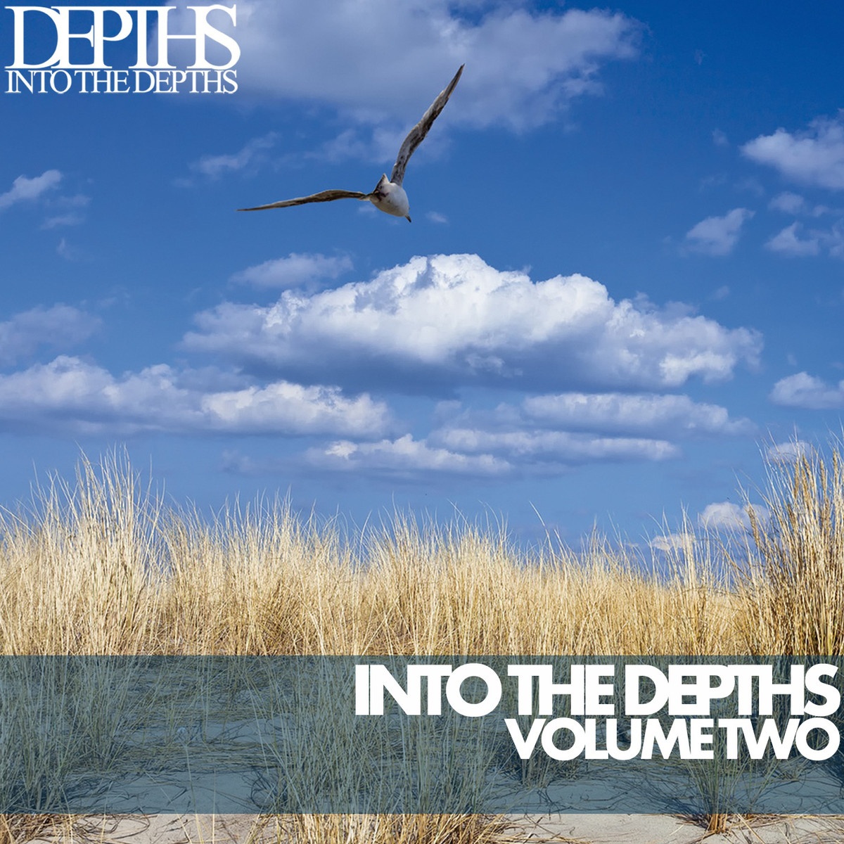 Into the Depths, Vol. Two - Essential Deep House Selection