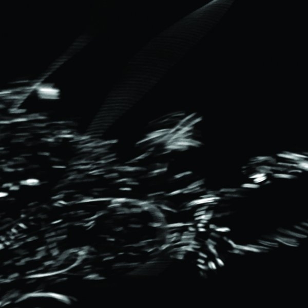 With Particular Reference