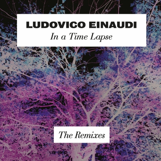 Time Lapse (Steven Segal remix)