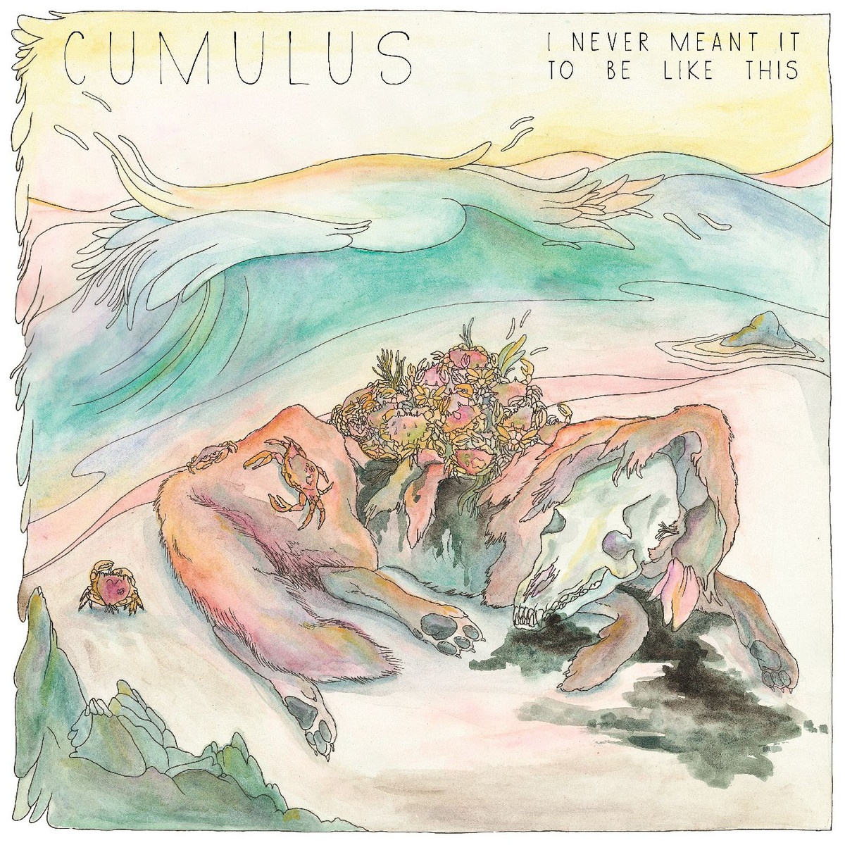 I Never Meant It To Be Like This