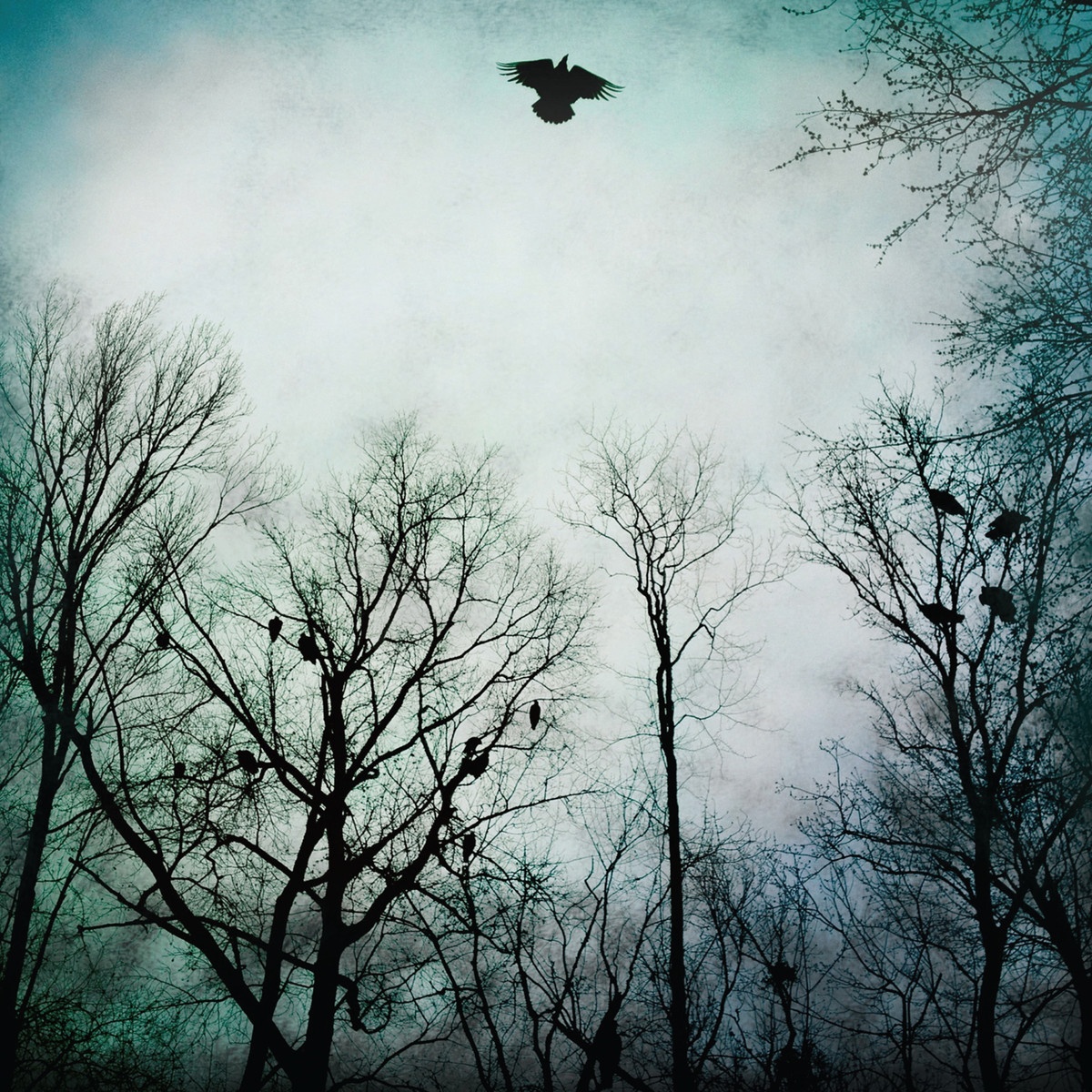 Someone has to Bleed