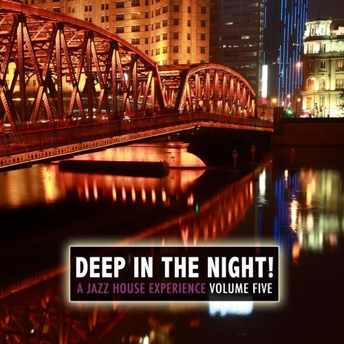  Deep In The Night Vol.5 - A Jazz House Experience