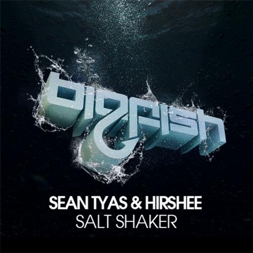 Salt Shaker (Original Mix)