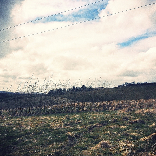 a sense of unresolved unease and desolation