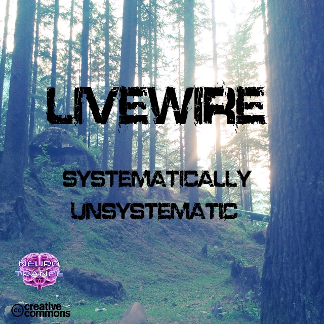 Systematically Unsystematic