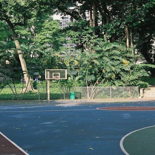 Lately featuring Cho v