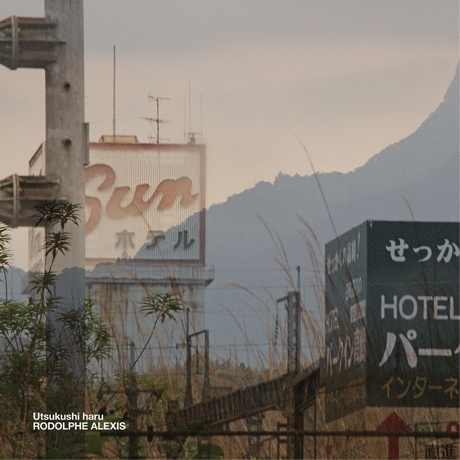 A night in Mie II (Hyla Japonica)