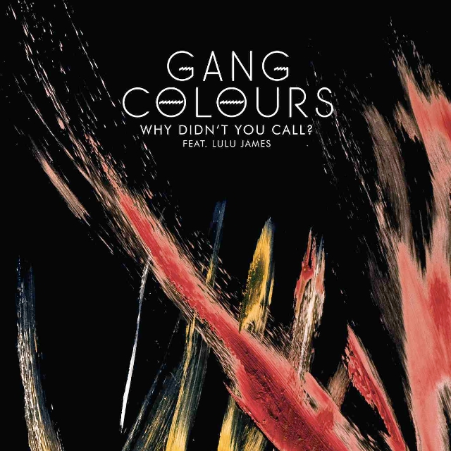 Why Didn't You Call (feat. Lulu James)