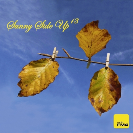 Sunny Side Up  Volume 13