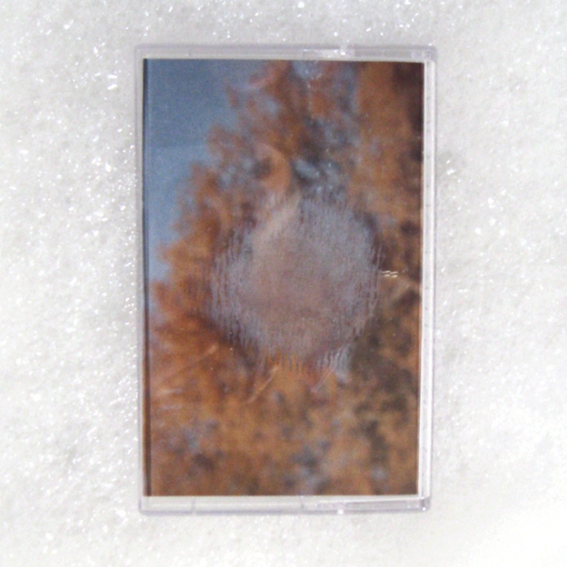 Amethyst Ocean Oyster Refraction Index