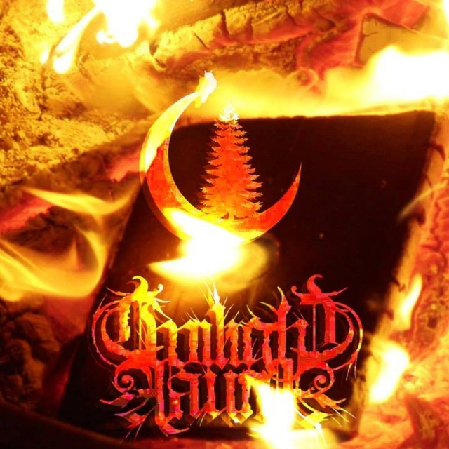 Dreaming Meadows Beneath Blackened Skies