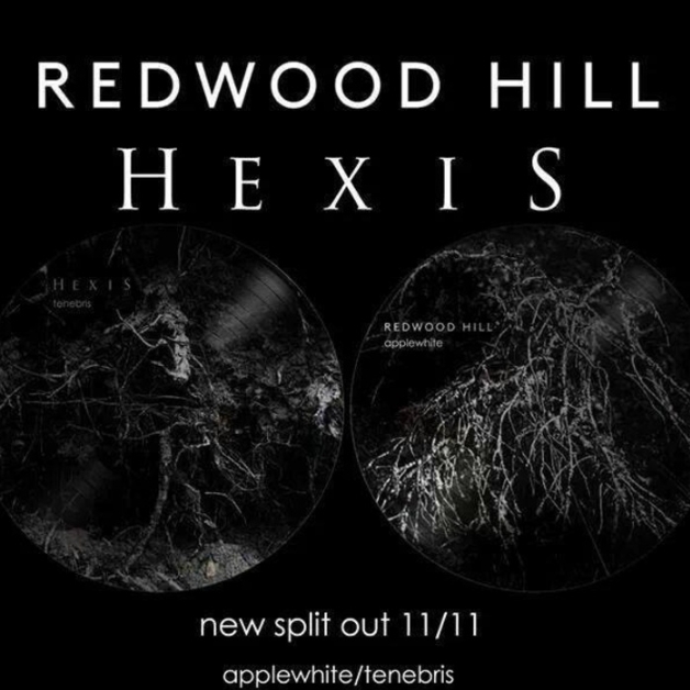 Hexis / Redwood