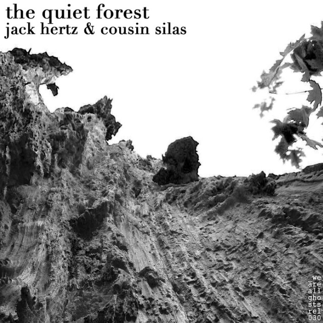 The Quiet Forest  