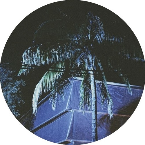 Who's The Licho In Charge Ovaa Here