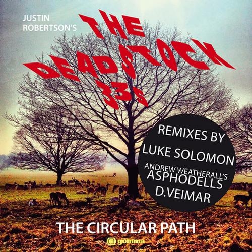The Circular Path (Dimitri Veimar Remix)