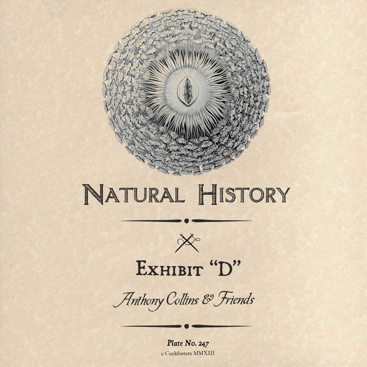 Arpiary (Original Mix)