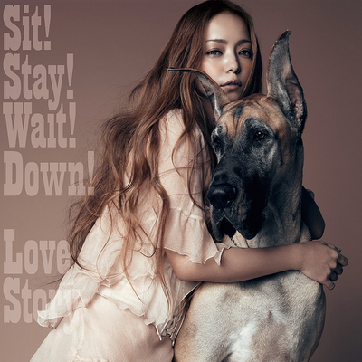 Sit! Stay! Wait! Down!/Love Story