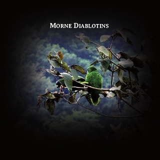 Morne Diablotins