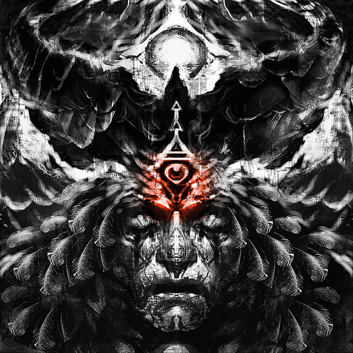 Brothers in the Stars