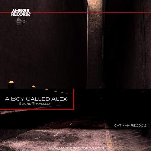 A Boy Called Alex 