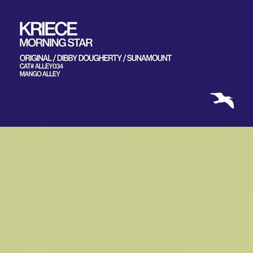 Morning Star(Original Mix)