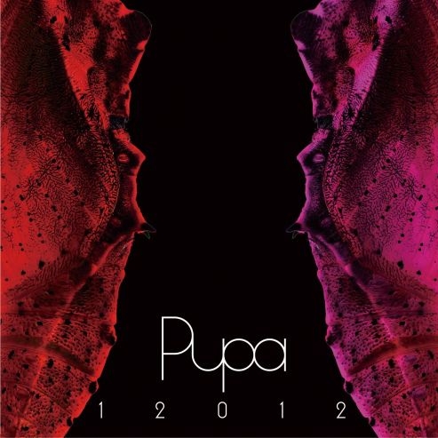 THE PAIN OF CATASTROPHE