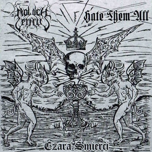 A Skull Destroyed By Time