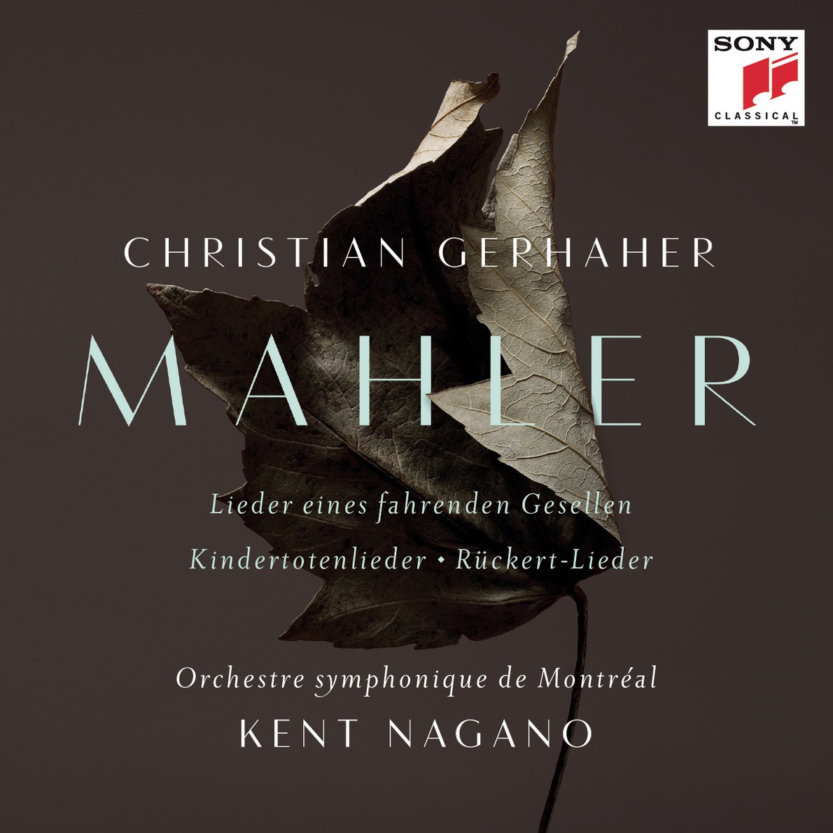 Lieder eines fahrenden Gesellen - Wenn mein Schatz Hochzeit macht