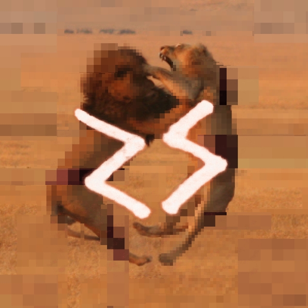 Where the Island Ends