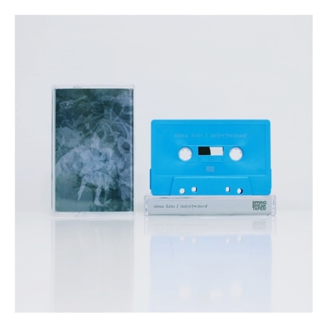 Misapprehension (Lester Burnham remix)