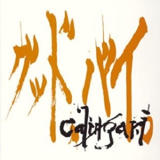 qing chun kuang sao qu