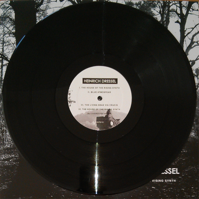 The House Of The Rising Synth Vinyl