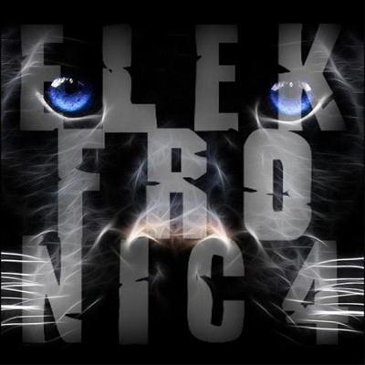 Elekfronic Vol. 4 WEB