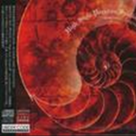 High Style Paradox Special RARE TRACK COLLECTIONS