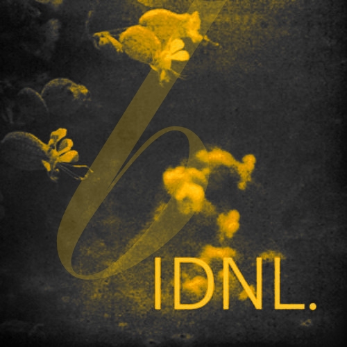 i do not love. for frida