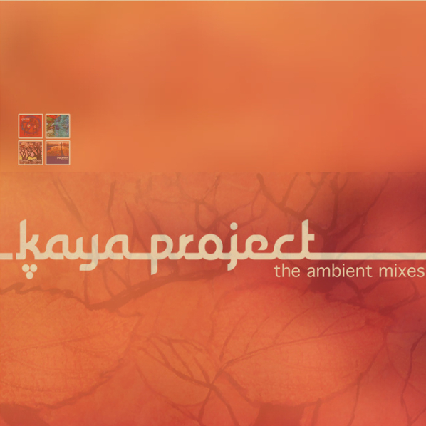 Saranghi Breaks (Ambient Mix)