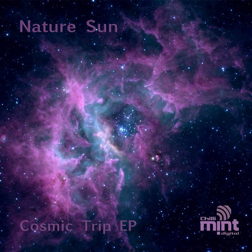 Cosmic Trip [Original Mix]