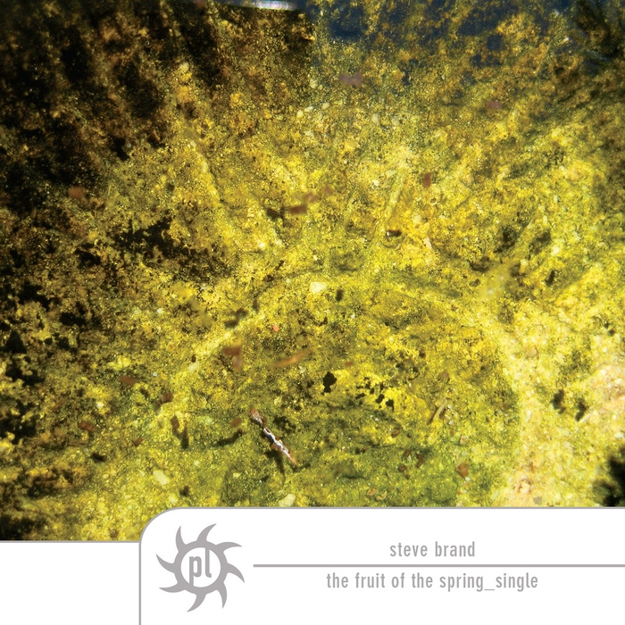 The Fruit Of The Spring Single Mix 2