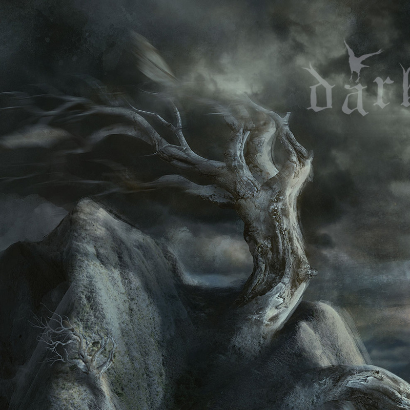 Cognitive Dissonance