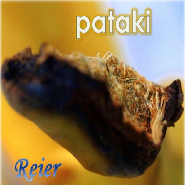 By whom the bell tolls