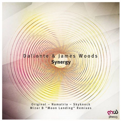 Synergy (Namatria Remix)