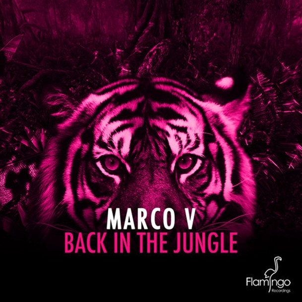 Back In the Jungle (Radio Mix)
