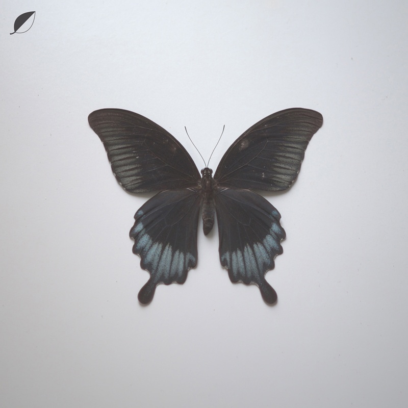 All Comes (feat. Gry)