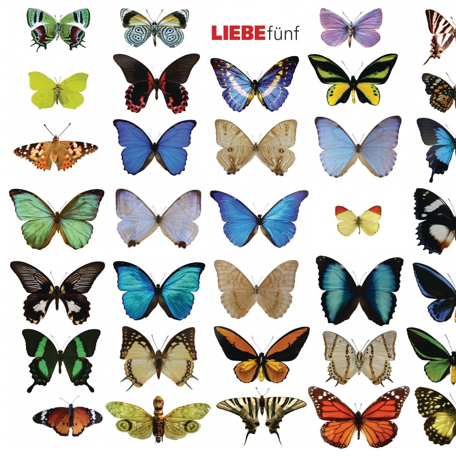 Das Fleisch ist billig, aber der Geist ist wach