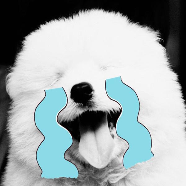 nan guo de shi. wo hui fang zai xin di