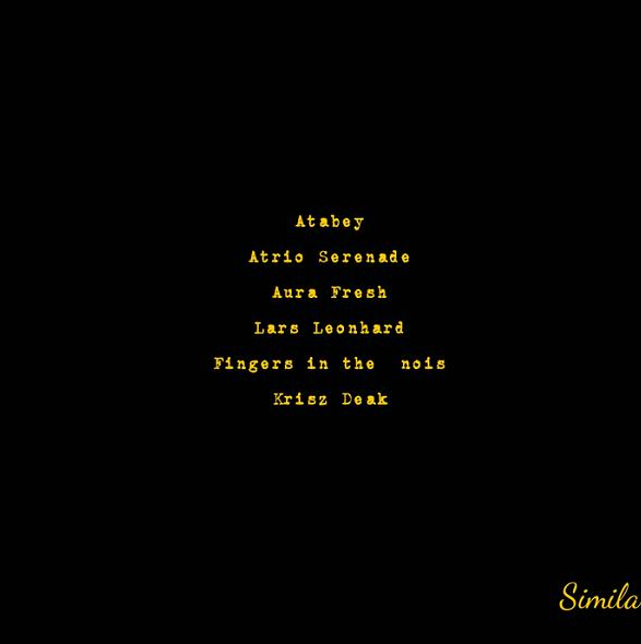 Similaracustic [013]