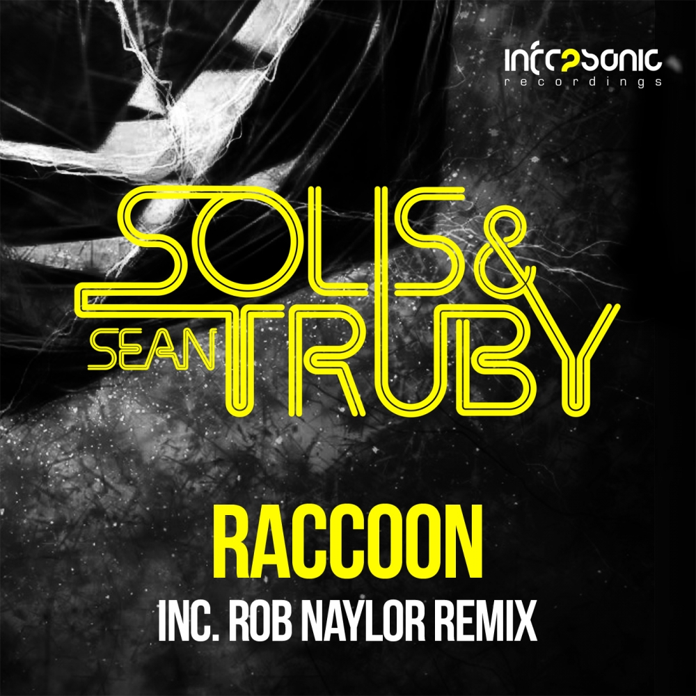Raccoon (Rob Naylor Remix)