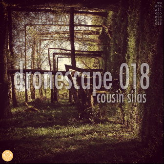 Dronescape 018 (waag_drs018)