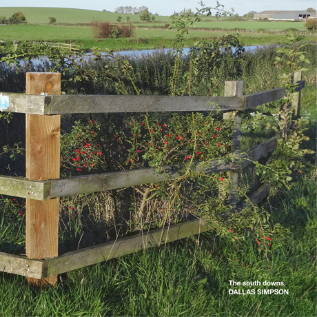 The south downs: environmental studies in metal, wood and stone